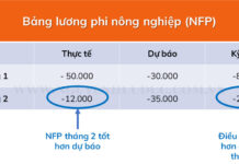 Các chỉ số cơ bản